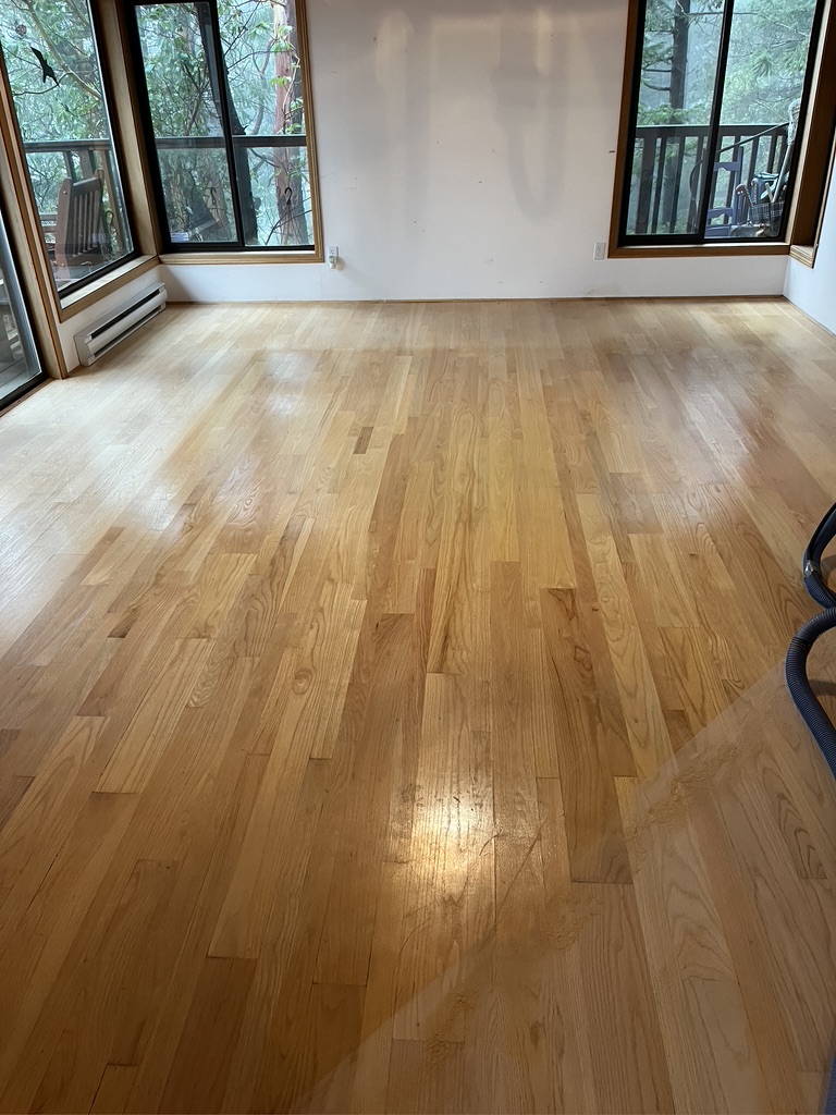 Saturna Island Home — Living Room Restoration before refinishing